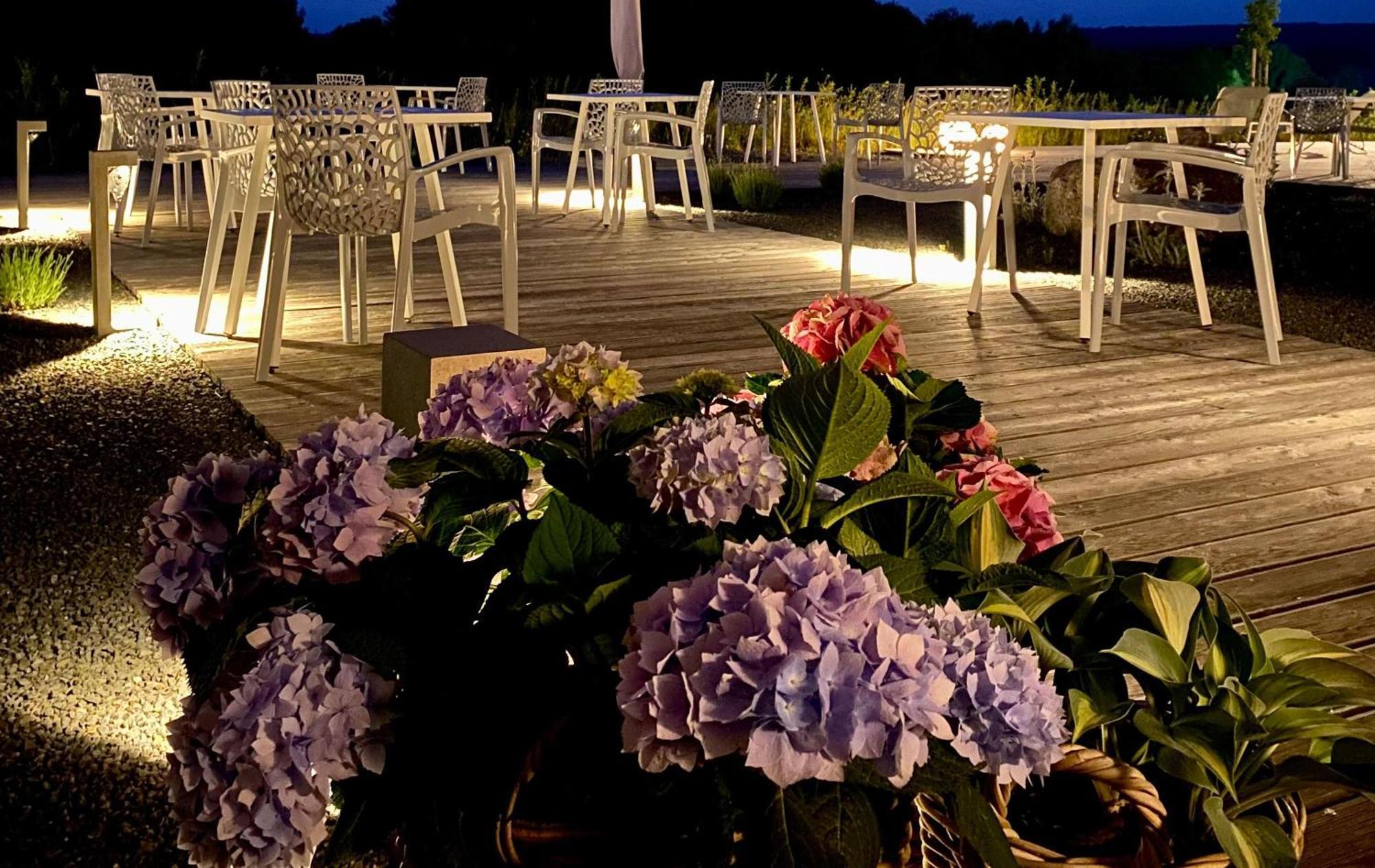 Hotel Avaneo